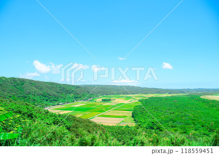 鹿児島 種子島の風景 鹿児島 種子島の風景 118559451