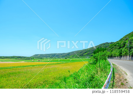 鹿児島 種子島の風景 鹿児島 種子島の風景 118559458