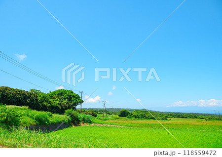 鹿児島 種子島の風景 118559472