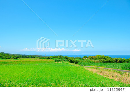 鹿児島 種子島の風景 118559474