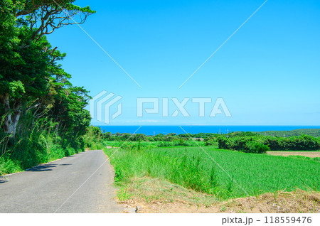 鹿児島 種子島の風景 118559476