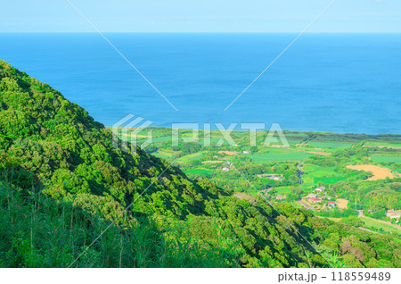 鹿児島 種子島の風景 鹿児島 種子島の風景 118559489