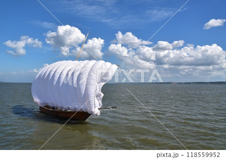 夏の霞ヶ浦の帆引き船 茨城 夏の霞ヶ浦の帆引き船 茨城 118559952