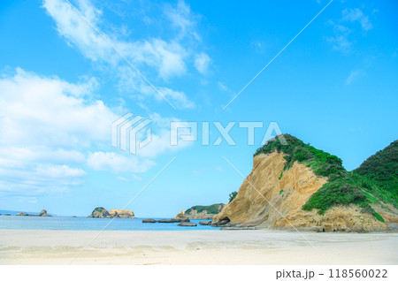 種子島の美しい海 118560022