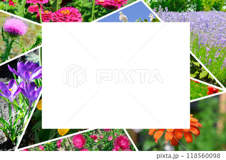collage of flower garden. Colorful frame with free space for text. collage of flower garden. Colorful frame with free space for text. 118560098