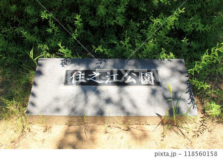住之江公園 住之江公園 118560158