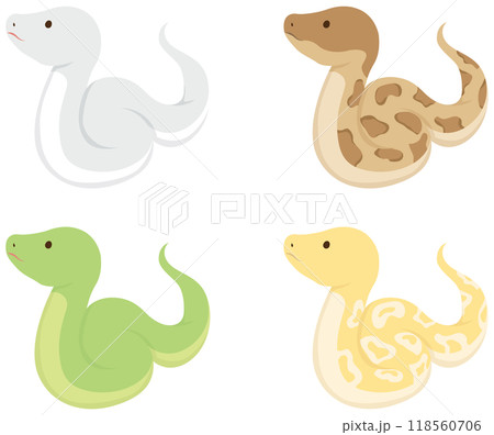 ヘビセット 118560706