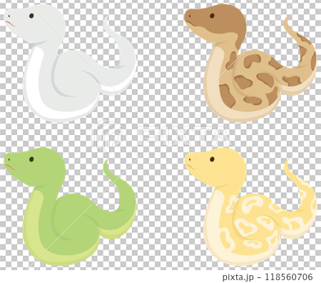 ヘビセット 118560706