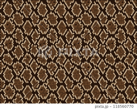 パイソン柄のイラスト素材 [118560770] - PIXTA