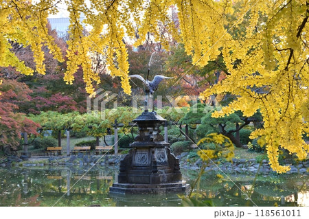 秋の朝の日比谷公園の風景 東京 秋の朝の日比谷公園の風景 東京 118561011