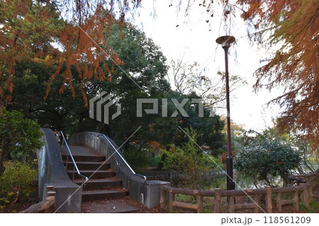 秋の夕暮れの石神井公園の風景 東京 秋の夕暮れの石神井公園の風景 東京 118561209