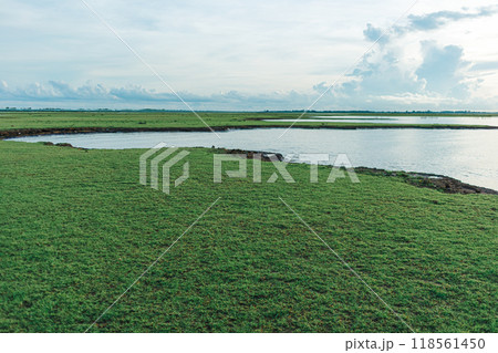 Marshes wetland of Thale Noi in Phatthalung, Thailand. Marshes wetland of Thale Noi in Phatthalung, Thailand. 118561450