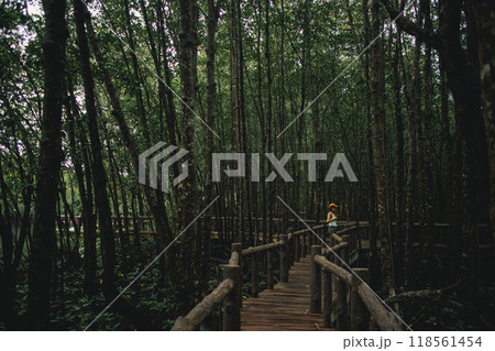 Woman in Yellow hat exploring the mangrove forest park, Thailand. Woman in Yellow hat exploring the mangrove forest park, Thailand. 118561454