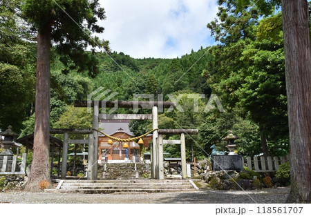 夏の朝の伊家具神社鳥居　滋賀 118561707