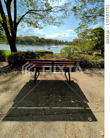公園の池とベンチ 118561751