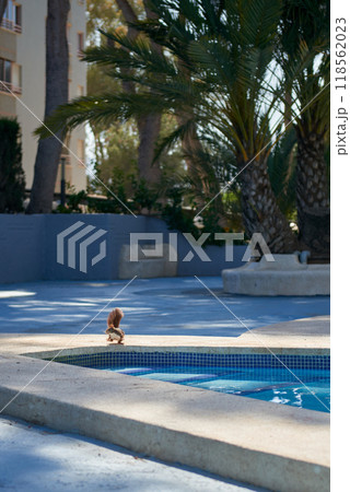 Charming Wildlife Moment: Squirrel Quenching Thirst at Poolside Oasis with Palm Trees Under Sunny Summer Sky. Playful Squirrel at Pool's Edge: Delightful Encounter Amidst Tropical Palms and Clear Blue Charming Wildlife Moment: Squirrel Quenching Thirst at Poolside Oasis with Palm Trees Under Sunny Summer Sky. Playful Squirrel at Pool's Edge: Delightful Encounter Amidst Tropical Palms and Clear Blue 118562023
