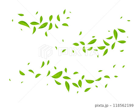 Green tea vector background mint eco illustration. Organic green tea flying leaf fresh concept Green tea vector background mint eco illustration. Organic green tea flying leaf fresh concept 118562199