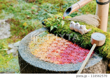 楊谷寺の可愛すぎる花手水 楊谷寺の可愛すぎる花手水 118562570