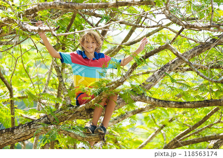 Boy climbing tree in park. Kids explore nature. 118563174