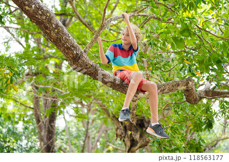 Boy climbing tree in park. Kids explore nature. Boy climbing tree in park. Kids explore nature. 118563177