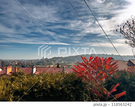Autumn landscape with a view of the city from the observation deck in the city of Przemysl, Poland Autumn landscape with a view of the city from the observation deck in the city of Przemysl, Poland 118563242