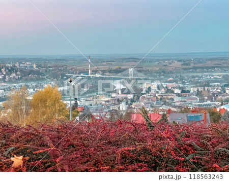 Autumn landscape with a view of the city from the observation deck in the city of Przemysl, Poland 118563243