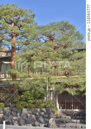 嵐山のお店の松 118563777