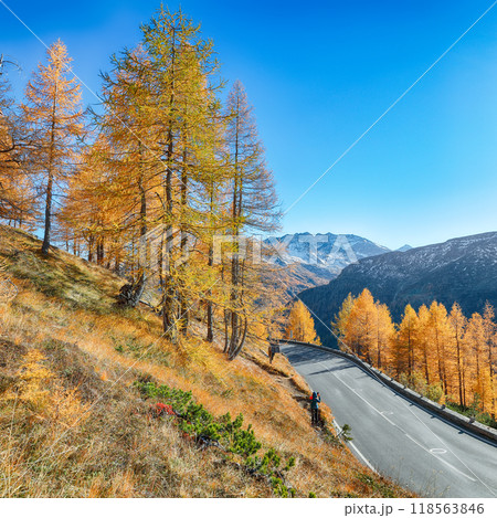 Gorgeous view of Grossglockner High Alpine Road at autumn. Gorgeous view of Grossglockner High Alpine Road at autumn. 118563846