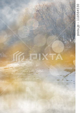 水面の落葉　秋・冬色イメージ（恩原湖周辺） 118564530