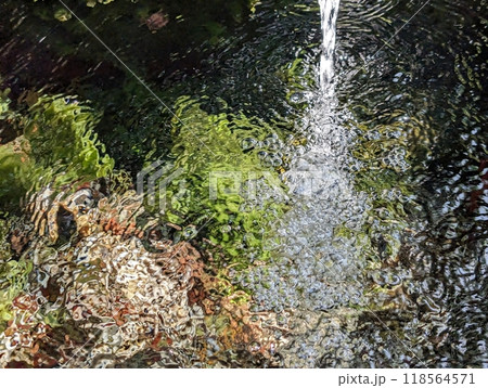 湧水 118564571