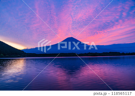 【静岡県】初秋の富士山・田貫湖の夜明け 118565117