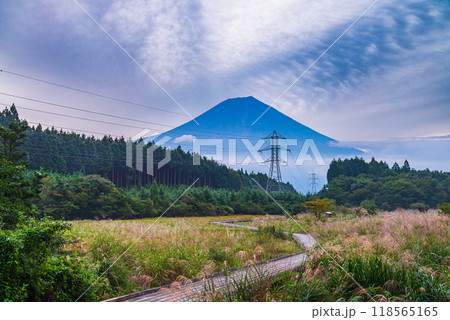 【静岡県】初秋の小田貫湿原と富士山 118565165