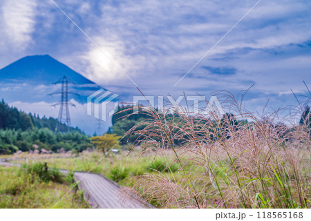【静岡県】初秋の小田貫湿原と富士山 【静岡県】初秋の小田貫湿原と富士山 118565168