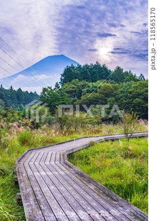 【静岡県】初秋の小田貫湿原と富士山 【静岡県】初秋の小田貫湿原と富士山 118565170