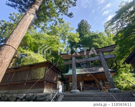 新緑に包まれる等々力不動尊 新緑に包まれる等々力不動尊 118565611