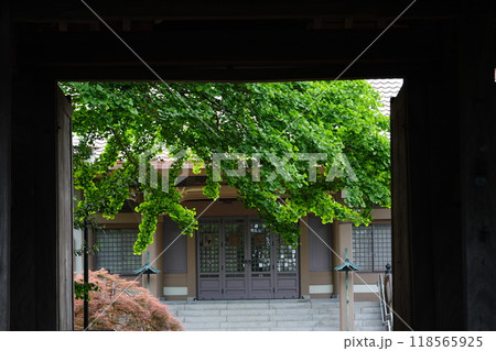 豊顕寺 118565925