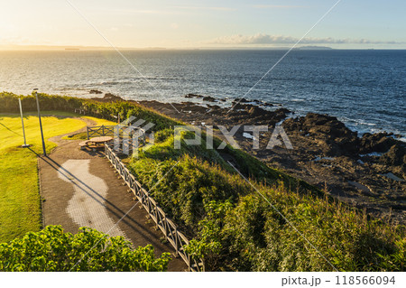 神奈川県立城ヶ島公園、朝日に照らされる岬「安房ヶ崎」の風景【神奈川県・三浦市】 118566094