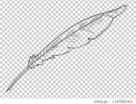 鵝毛筆線描插圖 118566161