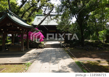 鹿嶋神社 鹿嶋神社 118566715
