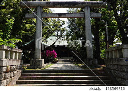 鹿嶋神社 鹿嶋神社 118566716