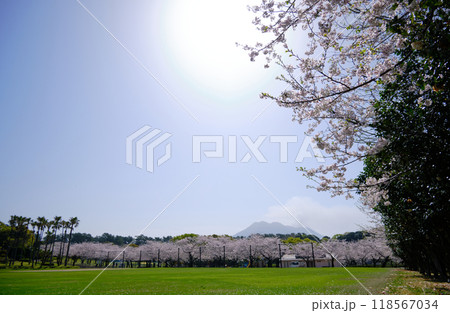 春晴れの日の吉野公園 118567034
