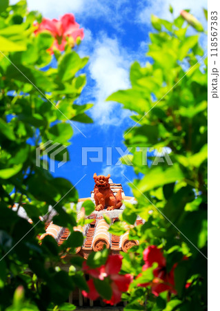 めんそーれ沖縄 青い空と赤いハイビスカスとシーサー めんそーれ沖縄 青い空と赤いハイビスカスとシーサー 118567383