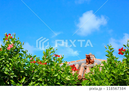 めんそーれ沖縄 青い空と赤いハイビスカスとシーサー めんそーれ沖縄 青い空と赤いハイビスカスとシーサー 118567384