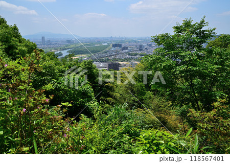天下分け目の天王山「山崎城」の曲輪と残石垣・眺望 118567401