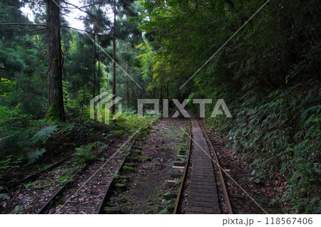 屋久島のトロッコ道 屋久島のトロッコ道 118567406