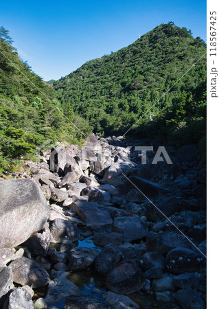 屋久島　小杉谷集落跡近くの渓流 118567425
