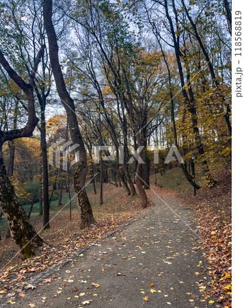 Wooden bench in the autumn park with fallen leaves on the ground Wooden bench in the autumn park with fallen leaves on the ground 118568819