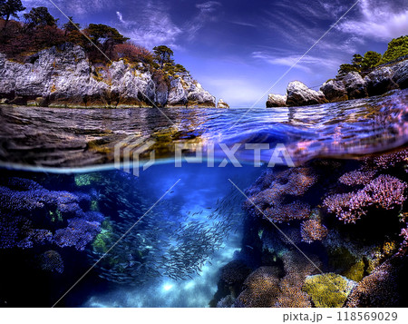 色鮮やかな水中サンゴ礁と海岸の風景 スプリットビュー 118569029