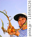 玉葱の収穫 118569226
