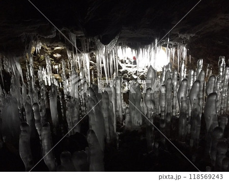 百畳敷洞窟の氷筍 1 百畳敷洞窟の氷筍 1 118569243
